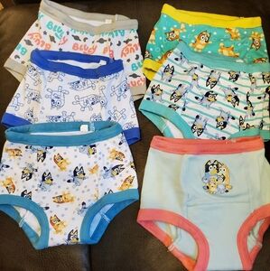 Bluey Potty Training Underwear